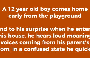 A 12 year old boy comes home early from the playground