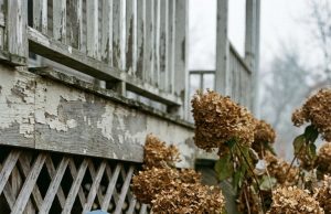 A twelve-year-old boy was trembling behind my bushes, covered in bl00d and pleading for me not to send him back home. What my rescue dog did next, and how the entire neighborhood responded, will absolutely break your heart.